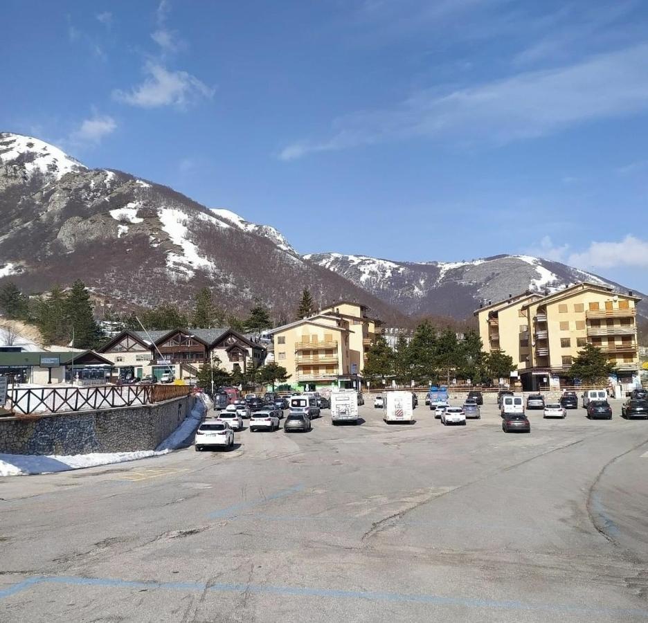 Fiocco Di Neve, Magnola