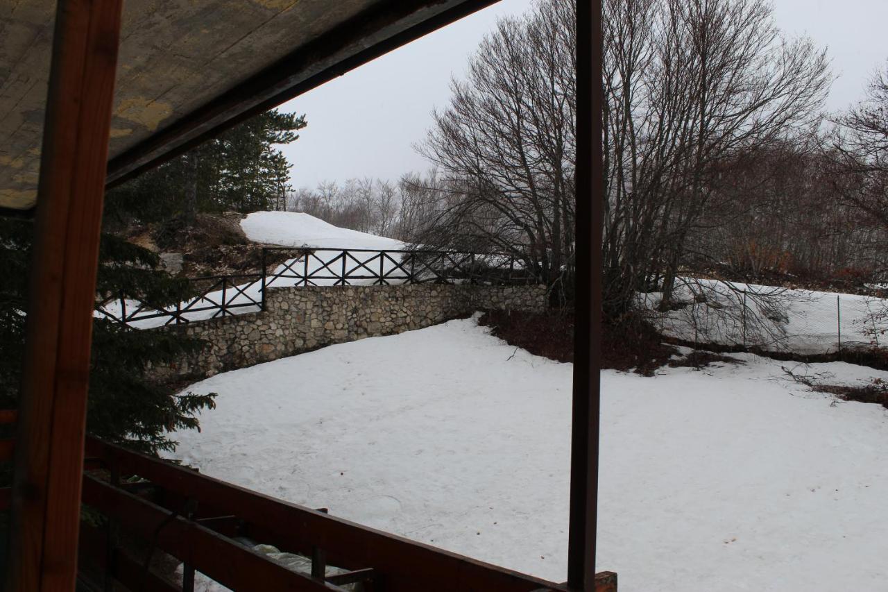 Fiocco Di Neve, Magnola *